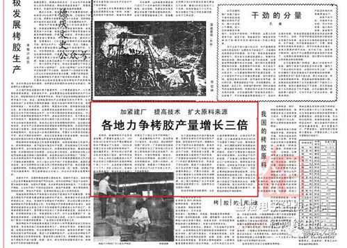 人民日报上的德庆 德封县悦城林产化学联合加工厂提高栲胶产量