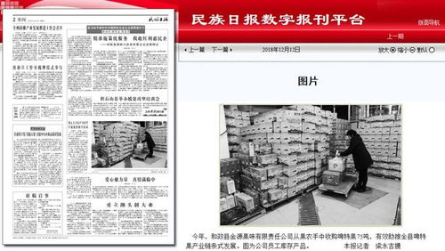 新闻丨 民族日报 临夏州和政县金源果味有限责任公司有效助推全县啤特果产业链条式发展