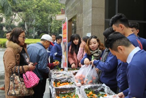 人民日报点名马云,吃相太难看,要学学任正非