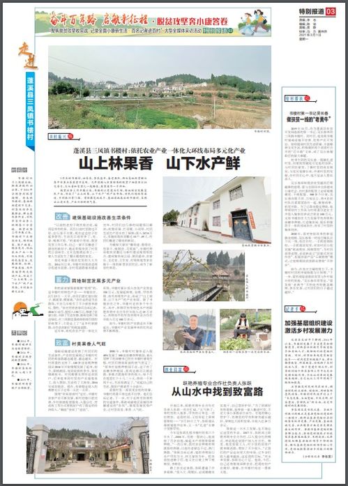 百名记者进百村 蓬溪县三凤镇书楼村 依托农业产业一体化大环线布局多元化产业