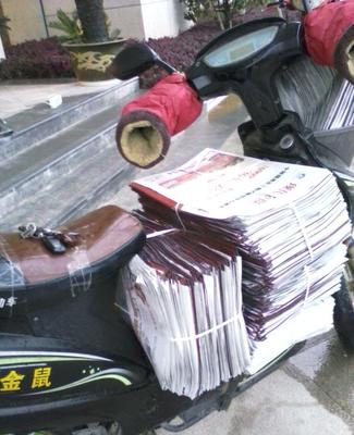 宁波夹报广告宁波报纸宣传单夹报广告