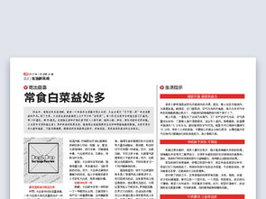 公司报纸企业内部cdr报刊版面设计模板图片素材 高清cdr下载 0.64mb 企业画册大全