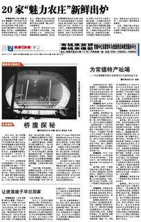 为常德特产吆喝