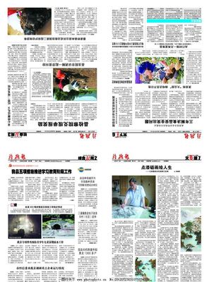 报纸刊物图片