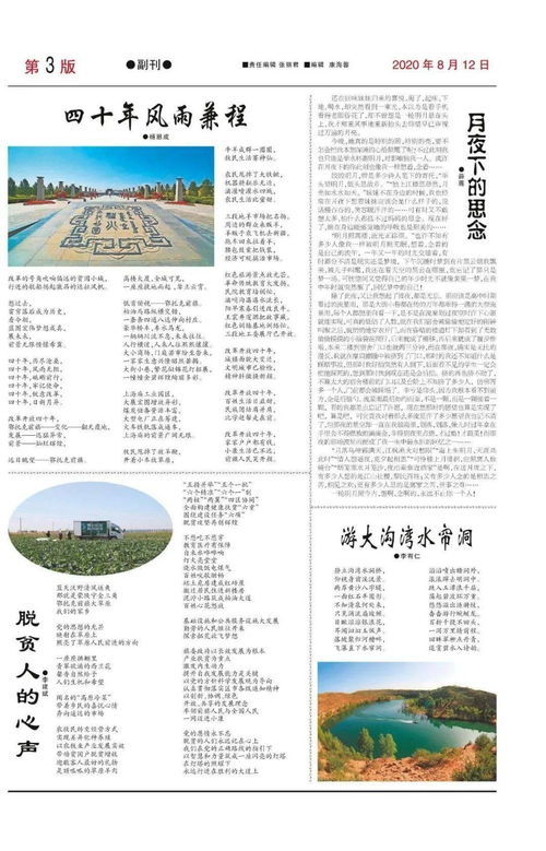 2020年第46期 今日鄂前旗 报纸