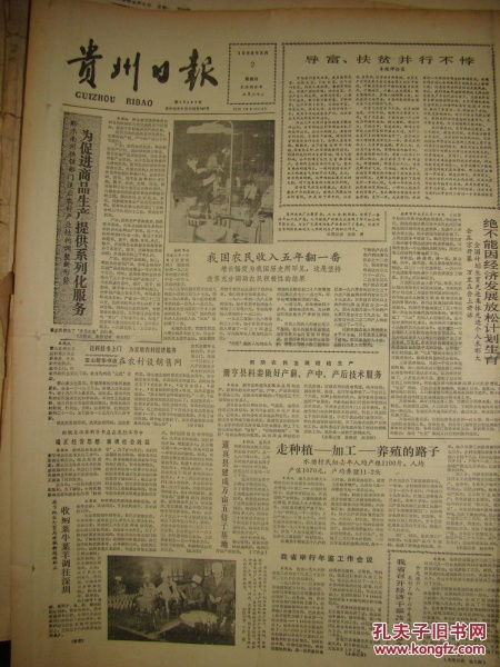 贵州综合日报与音像制品批发行业的发展现状与展望